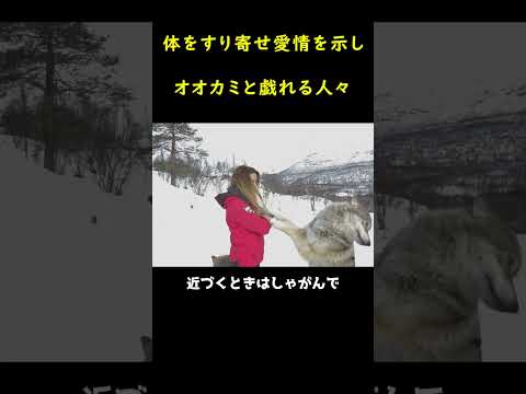 コイウルフまたはコイウルフ