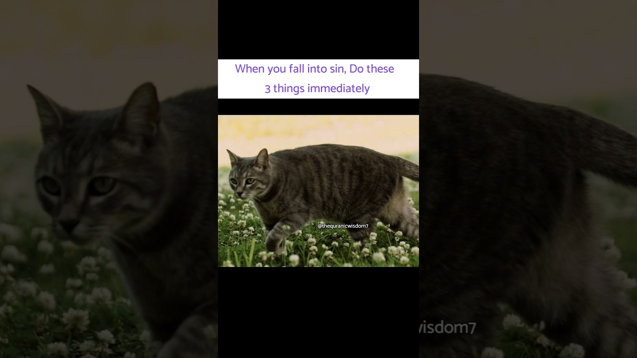 Made a mistake? Don’t scroll. Read the description.