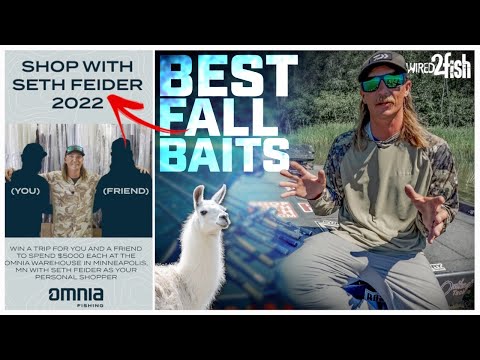 Best Fall Bass Baits | Seth Feider’s Shopping List