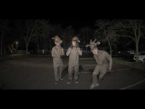Project Revise - Giraffes On Stilts [OFFICIAL VIDEO]