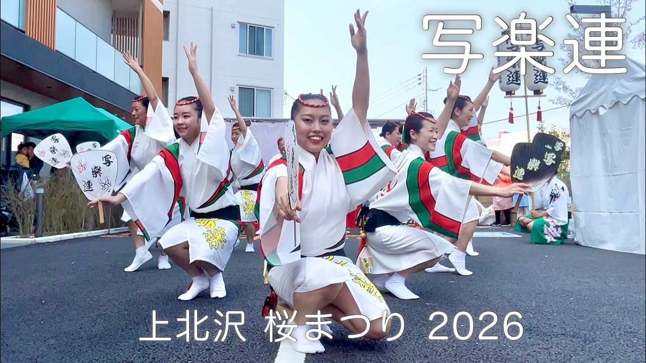 【阿波おどり2026|写楽連】上北沢桜まつり 舞台踊り！