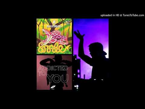 Addicted To You  vs  Snake (Avicii Mashup)