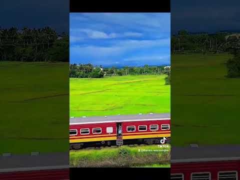 Udaya Kumar train || #travel #tharaka #nature Sri Lanka