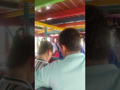 #transportes Argelia y cairo#33#buses escaleras#valle del cauca