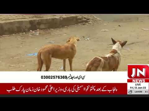 j n news tv Hafiz Muhammad Bashir Bureau Chief South Punjab JN News