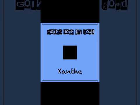 #folkmusic #folksong #folk #music #chicago #xanthe #song #takemeaway #oldtimemusic