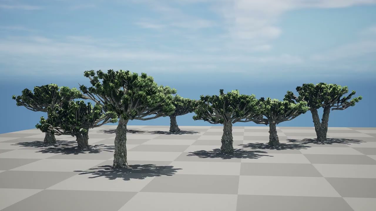 Dracaena dragon blood trees 3D Model
