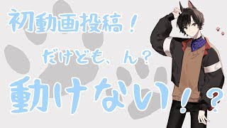 【00】犬上ハヤト、初めての動画投稿の巻【スプラトゥーン2実況】