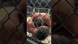 Thumbnail del capítulo