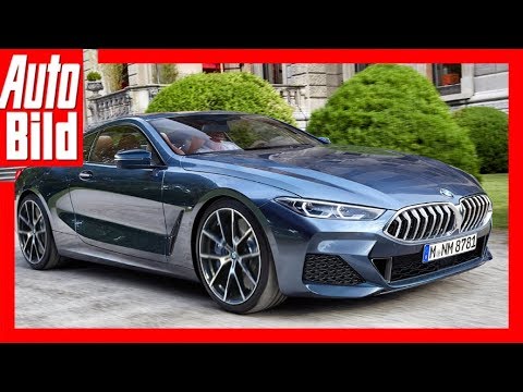 Zukunftsaussichten: BMW 8er G17 (2018) Details/Erklärung