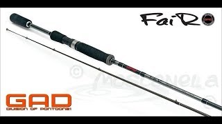 Pontoon 21 gad 2019 fair
