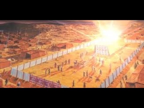 Weekly Torah Portion: Terumah (Offering)