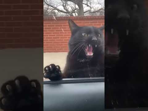 #подпишись 😆