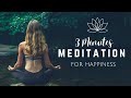 3 MINUTE MEDITATION for Happiness
