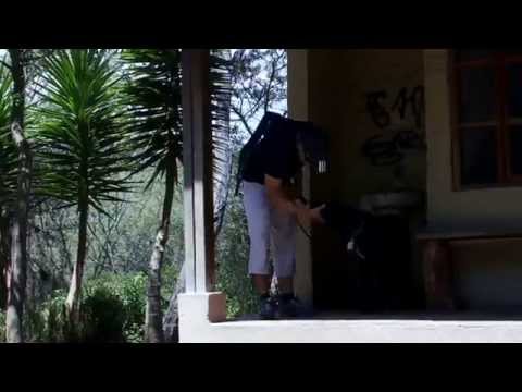 Sancho (Relato perruno)