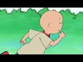Caillou Season 1 Episode 25 Caillou S Special Friend Special Edition Vocal Version