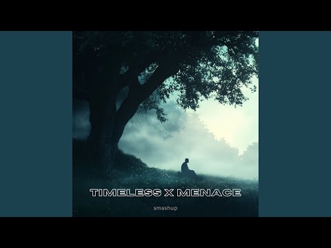 TIMELESS X MENACE (Medley)