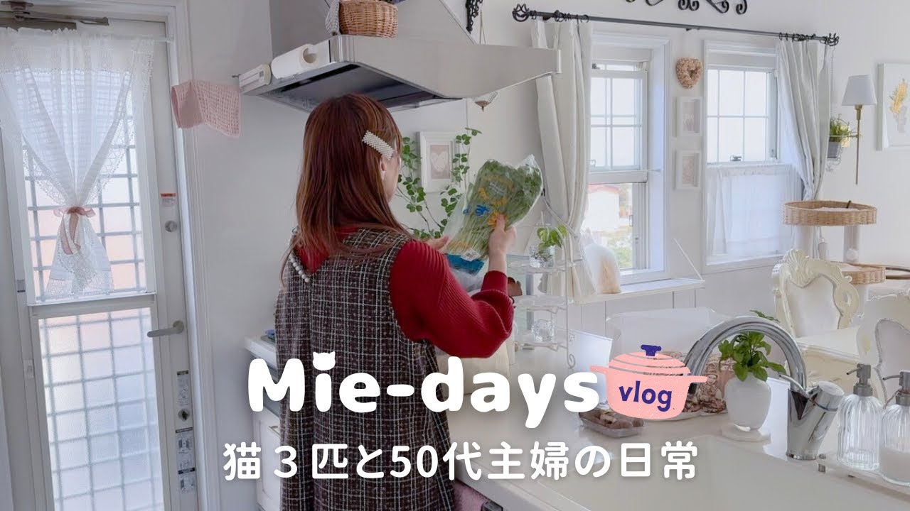 271.【猫３匹と50代主婦の春の暮らし🏠】夫のガンダム部屋/Francfrancのラグ♡朝昼晩ごはん