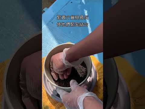 寵物盆葬做法