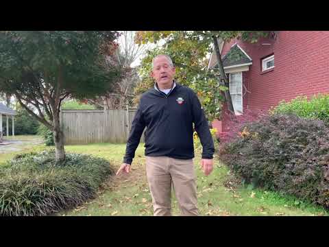 ポールに聞いてください、モグラですか、それともハタネズミですか？