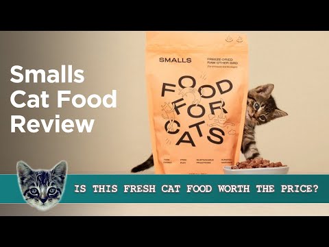 Smalls Cat Food Review - We Tested It On All Our Cats!