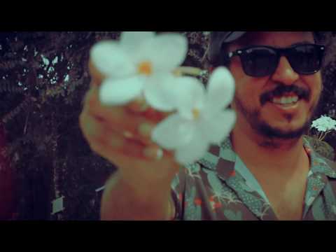 Diário De Bordo video