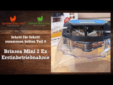 Brinsea Mini 2 Ex Erstinbetriebnahme - Schritt für Schritt zusammen brüten Teil 4 | Wachtel-Shop.com