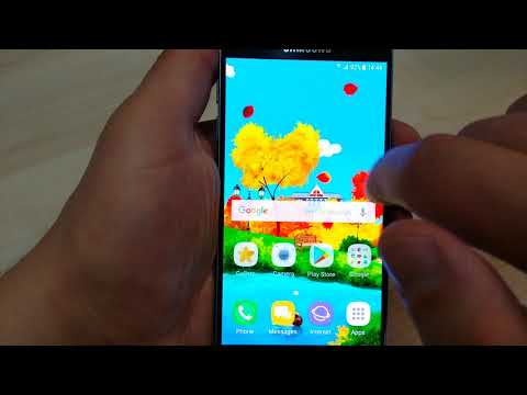 Sunny Autumn Day Live Wallpape Video