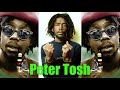 Peter Tosh | Conscious Reggae Music | The Best Reggae Music