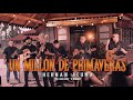 Un Millon De Primaveras - Hernán Acuña (Cover en Vivo)