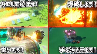 プレイヤーの道徳心が欠如しているティアーオブザキングダム　Part.1