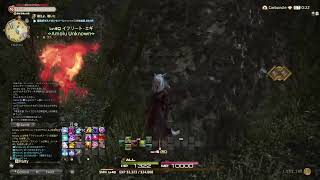 【FF14】#8 竜詩戦争終戦編！教えて白魔師匠っ　EleDC/Car鯖