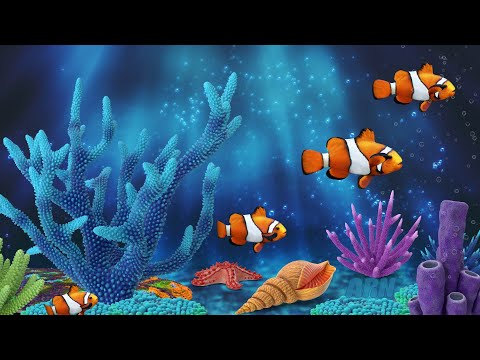 Wiegenlied und beruhigende Unterwasser animation. Aquarium. Beruhigende Fische. Baby Schlaf Musik.