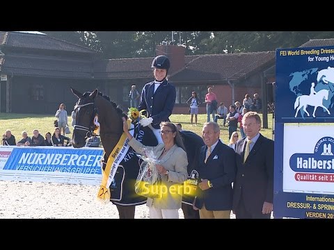 Hannoveraner Reitpferde-Championat 2015 - Dreijährige Stuten und Wallache