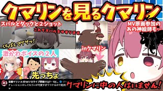 まさかのうい先生がナレーション＆スタッフちゃんの激かわボイスにコメ欄がざわつく中しっかりクマリンを堪能するクマリン密着動画を見るマリン船長まとめ【宝鐘マリン／しぐれうい／クマリン／ホロライブ】