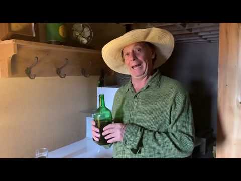 Daniel Lemire - Journal d'un confiné : Retrouvez Ronnie qui nous partage sa recette miracle.