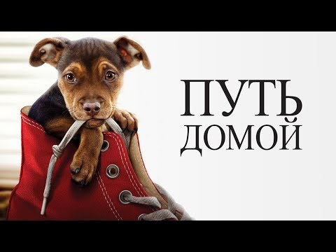 Путь домой - Русский трейлер (2019)🐕🐕