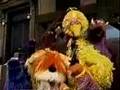 Sesame Street Big Bird In China