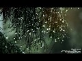 Rainy Season Day Wishes WhatsApp Status Video Rainy Day Greeting Card Mobile Status Video