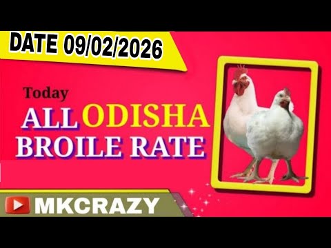 #TodayBroilerRate #Date_09_02_2026 #Todaychickenrate  All odisha broiler rate #broilerrate #Mkcrazy 
