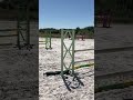 Jeune cheval 4 ans &agrave; vendre 