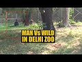 Watch: Man enters lion’s enclosure in Delhi zoo, rescued safely