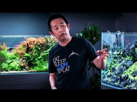 Masterclass: World Champ Josh Sim On Crafting Contest-winning Aquascapes