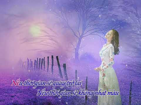 Nếu thời gian - Ngọc Mỹ