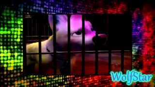 Animash-  Loser Like Me /80 subscribers vid!!/