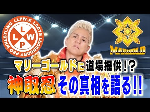 LLPW-X Team Anthem