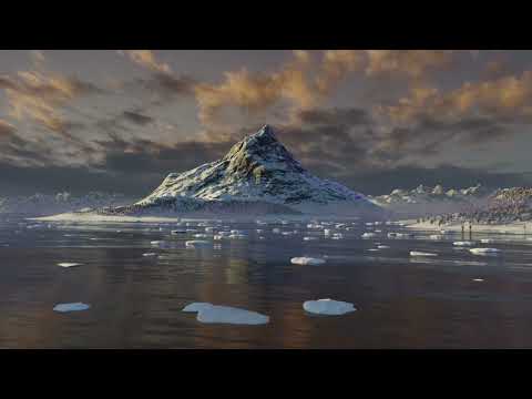 Arden Forest - Pine  💤 Scenic Relaxation ,Healing music , 1 Hour relaxing music