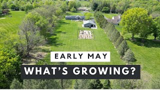 May flower farm tour + happy family update!
