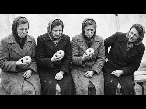 “Is This Pig Food?” — German Women POWs Shocked by Canadian Donuts… Until One Bite