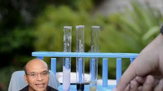 Download the video "YOU'RE WRONG ABOUT ACIDS #scienceexperiment #acids #coolscienceexperiments"